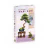 BONSAI - WABI SABI